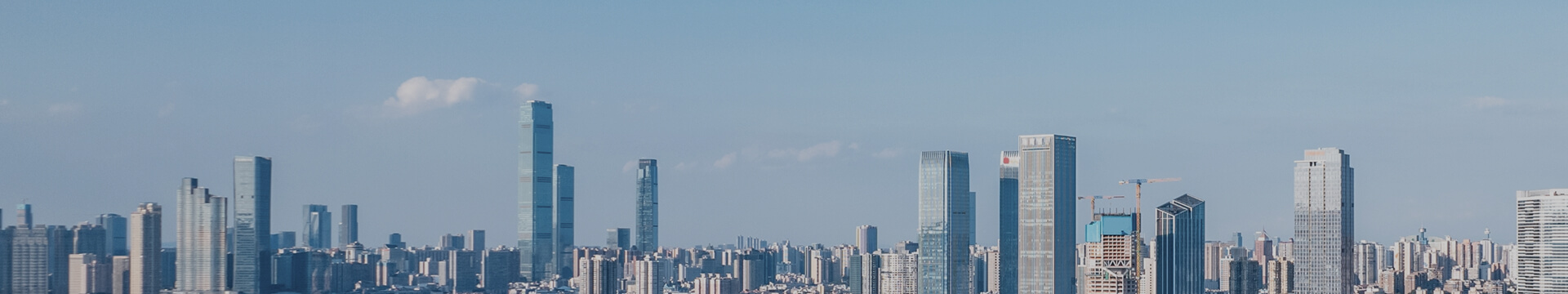 公司之窗