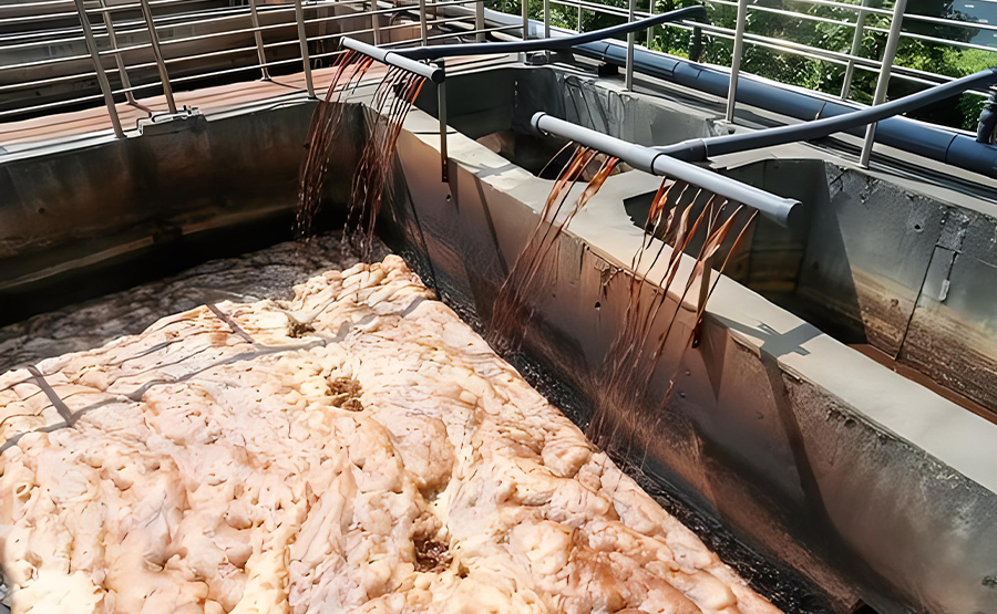 染料生產(chǎn)廢水處理與脫水設(shè)備運(yùn)行要點(diǎn)